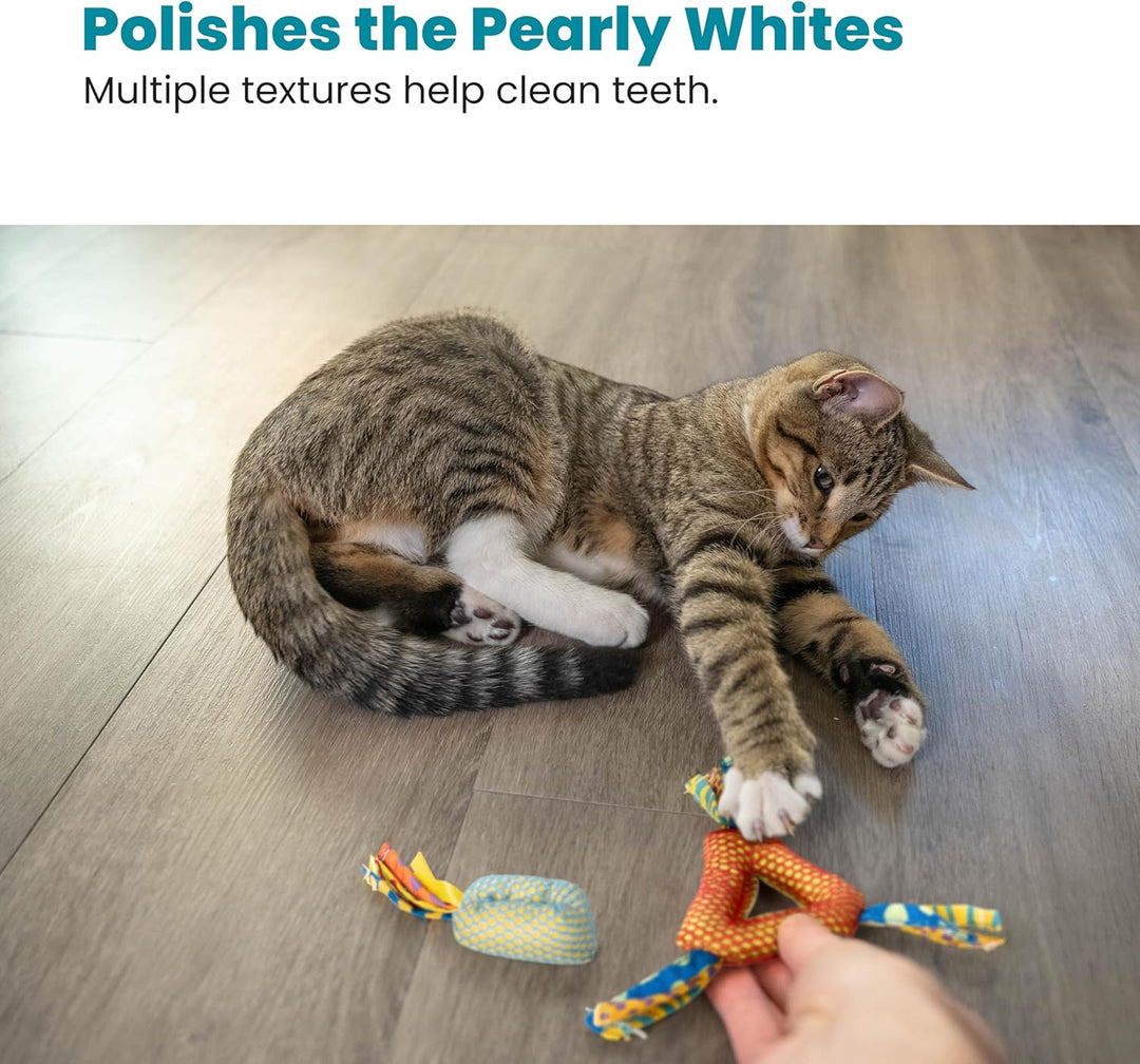 Petstages Catnip Dental Health Chew