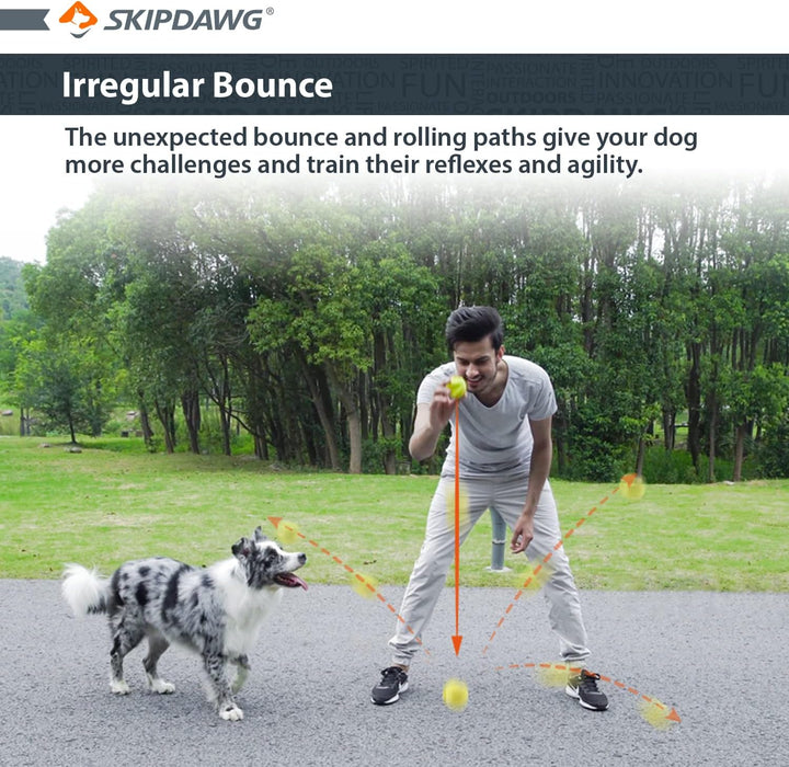 Skipdawg Agility Ball 2pk