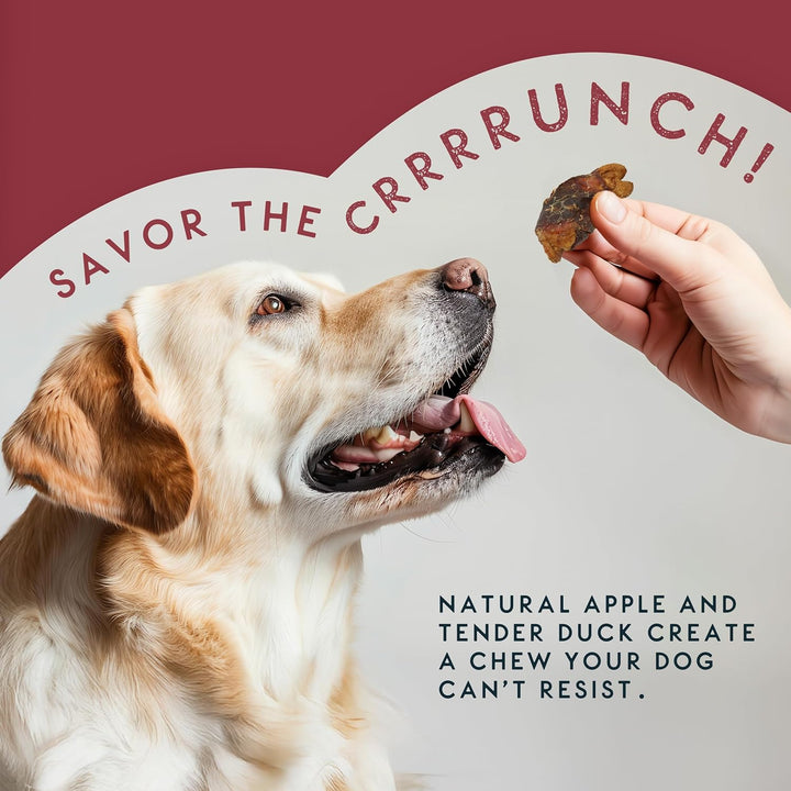 Elkwood 100% Natural Meaty Dog Treats Dried Apple Chunks Wrapped With Duck Jerky 100g