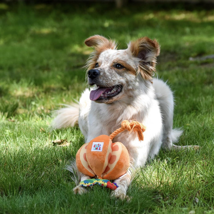 Happy Pet Very Hungry Caterpillar Orange Rope Tug
