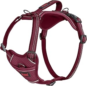 Halti Anatomy Harness Pink