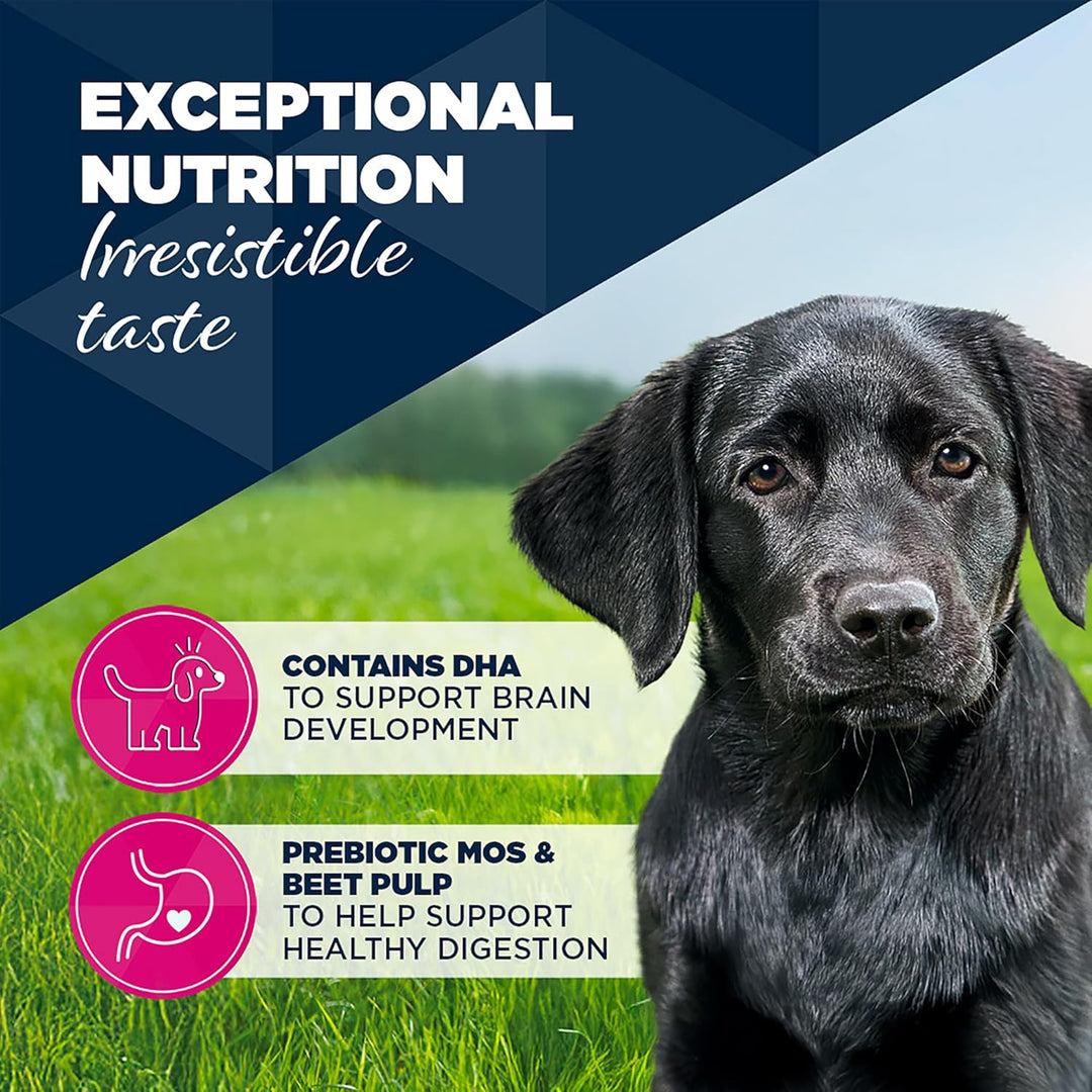 Eukanuba Cans 1-12 Months Puppy Turkey &amp; Carrots 6 X 400G