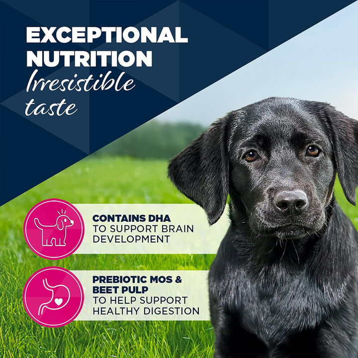 Eukanuba Cans 1-12 Months Puppy Turkey &amp; Carrots 6 X 400G