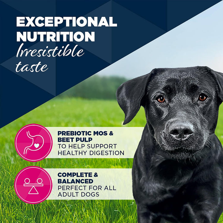 Eukanuba Cans 1-7 Years Adult Dog Lamb & Potato 6 X 400G
