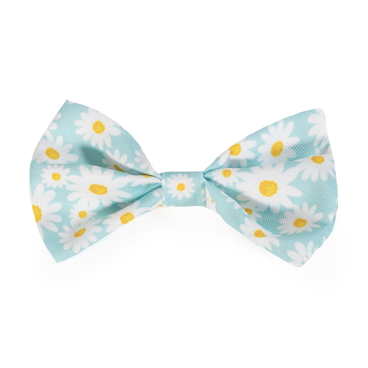 Rosewood Easter Bow Tie