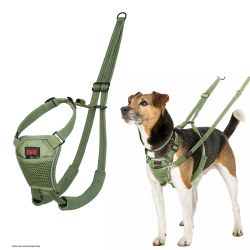 Company Of Animals Halti No Pull Harness Green