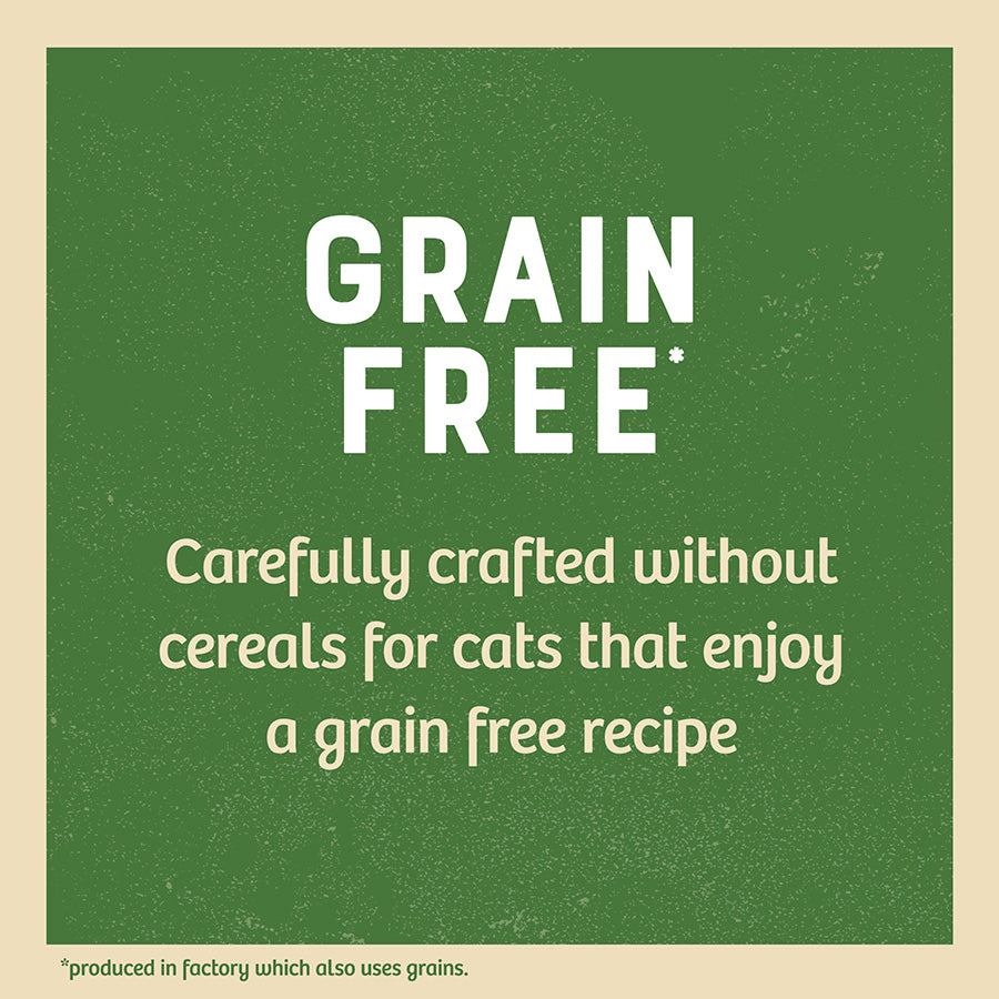 James Wellbeloved Grain Free Kitten Cat Wet Food Pouch Chicken in Jelly 12x85g