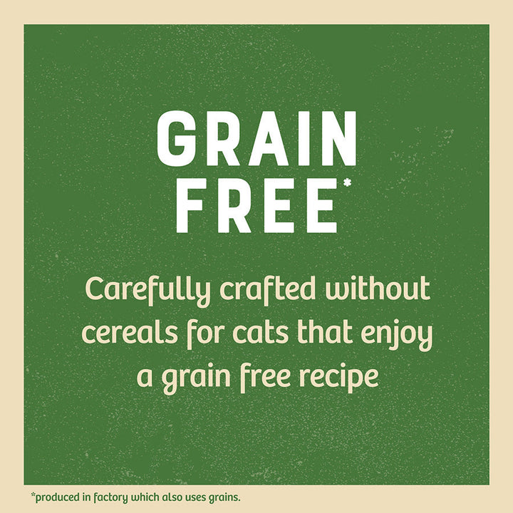 James Wellbeloved Grain Free Kitten Cat Wet Food Pouch Chicken in Jelly 12x85g