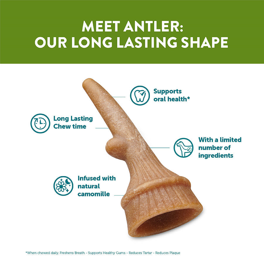 Whimzees Antler Large 6 Pack
