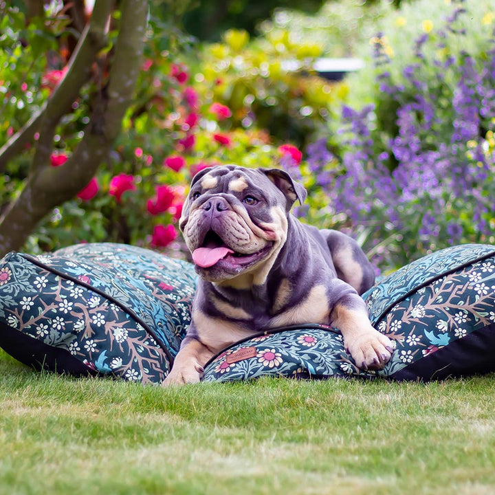 William Morris Pet Mattress Blackthorn Print