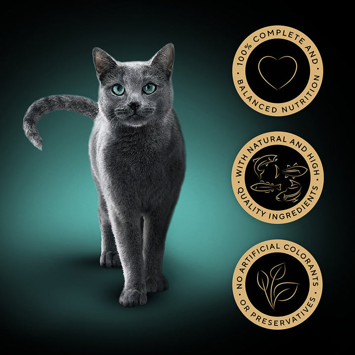SHEBA Sauce Collection Adult Cat Food Fish Selection 40 Pack, 85G