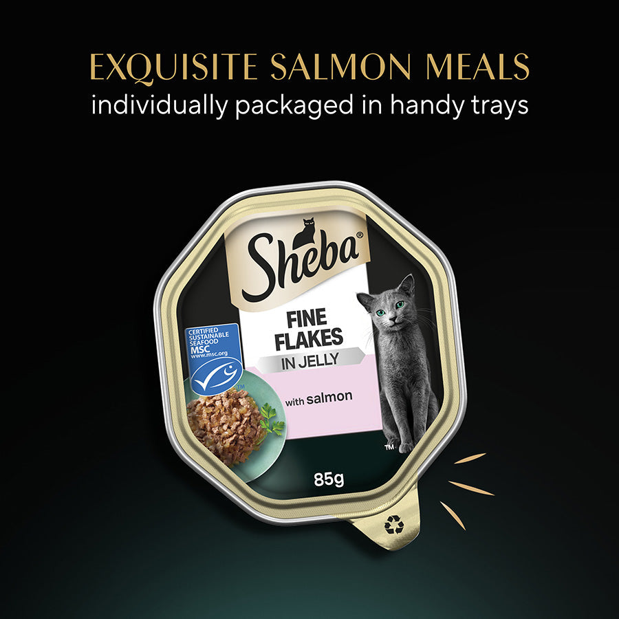 Sheba Fine Flakes Salmon In Jelly, 22 X 85G