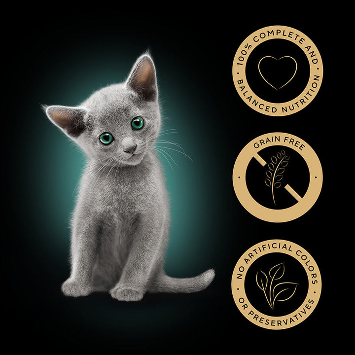 SHEBA Mixed Selection Kitten Wet Cat Food in Gravy 40 Pack, 85G