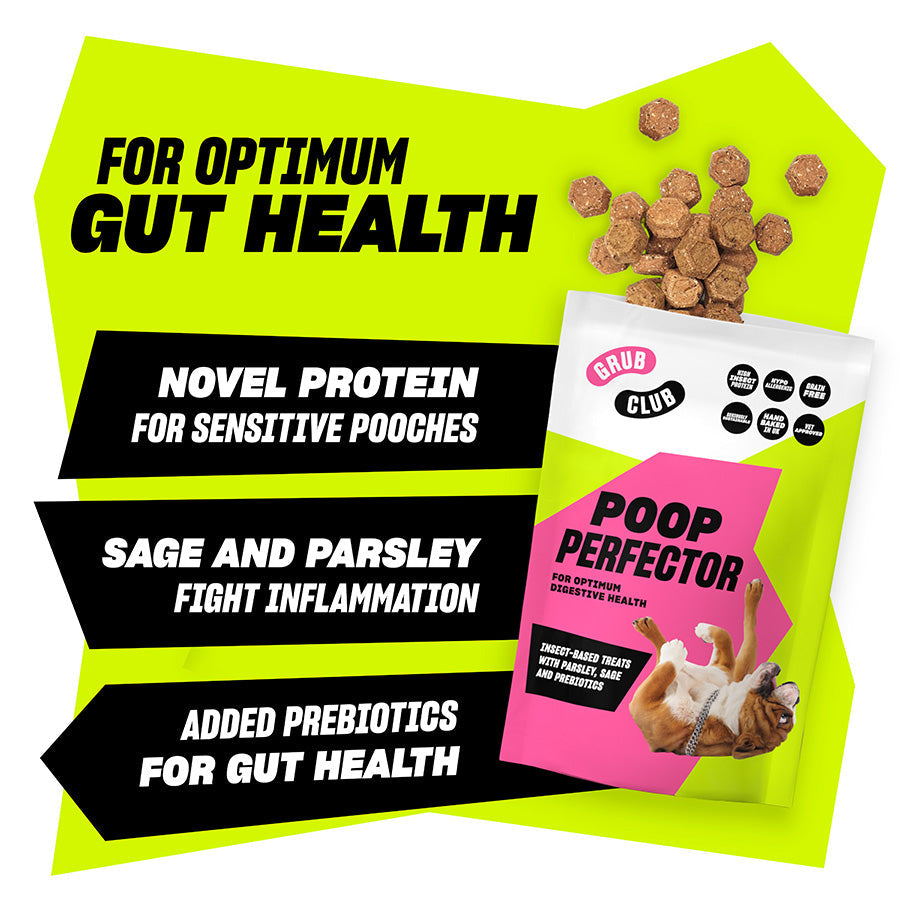 Grub Club Poop Perfector 100g
