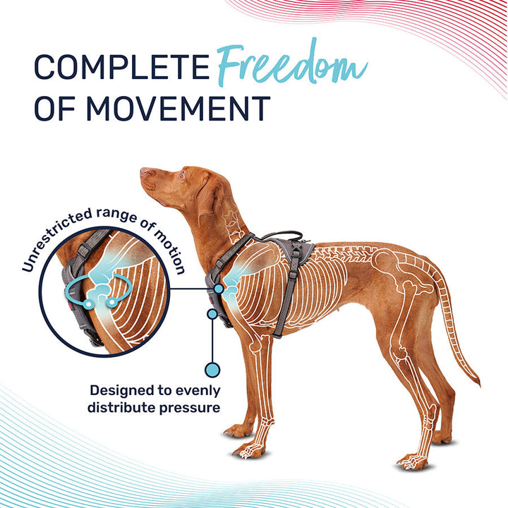 Halti Anatomy Harness Green