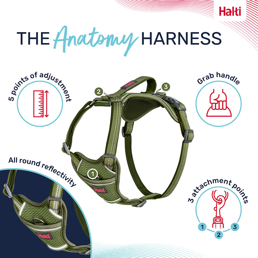 Halti Anatomy Harness Green