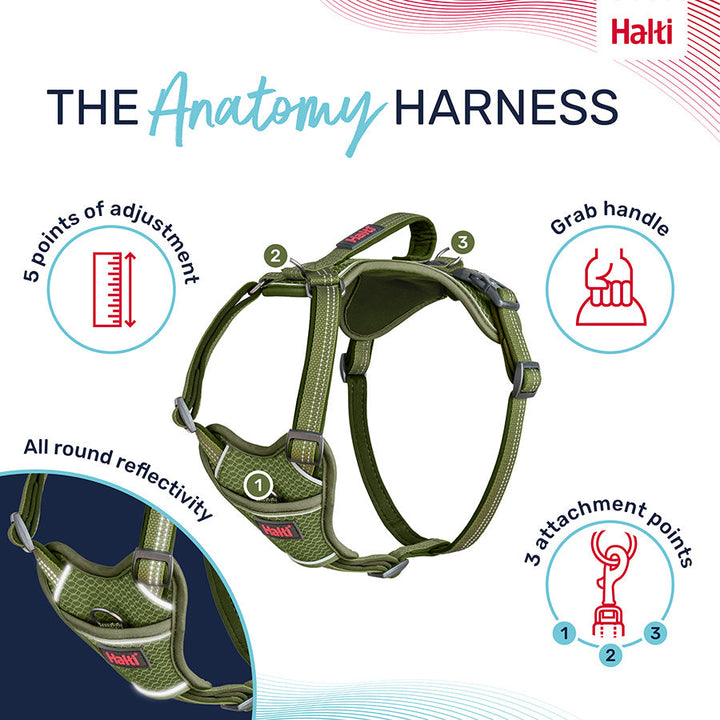 Halti Anatomy Harness Green