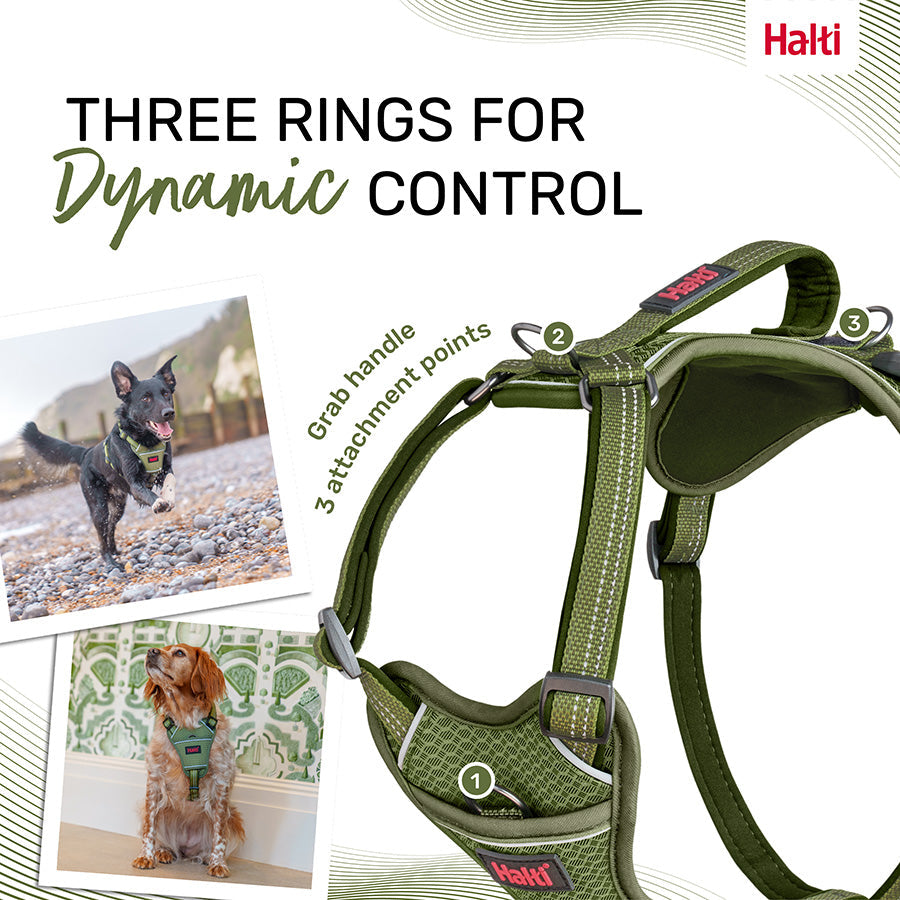 Halti Anatomy Harness Green