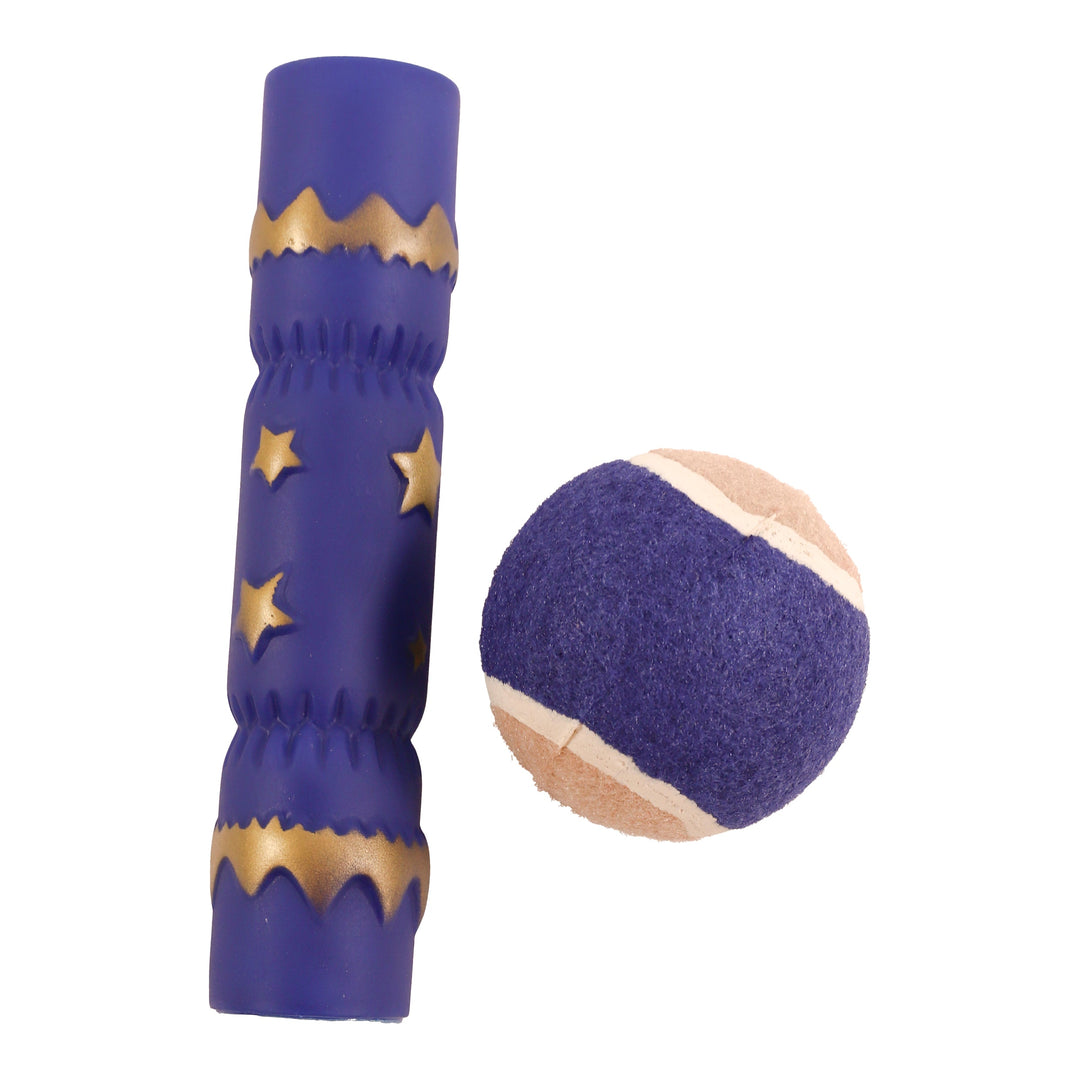 Rosewood Christmas Dinner Stocking Gift for Dogs