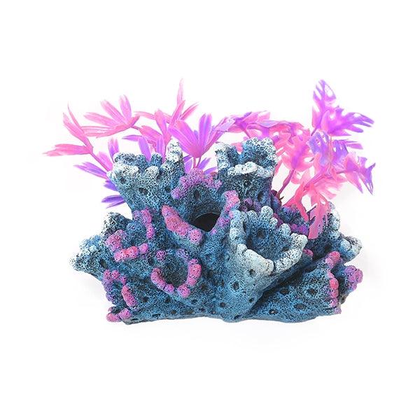 Rosewood Fantasy Reef With Plants