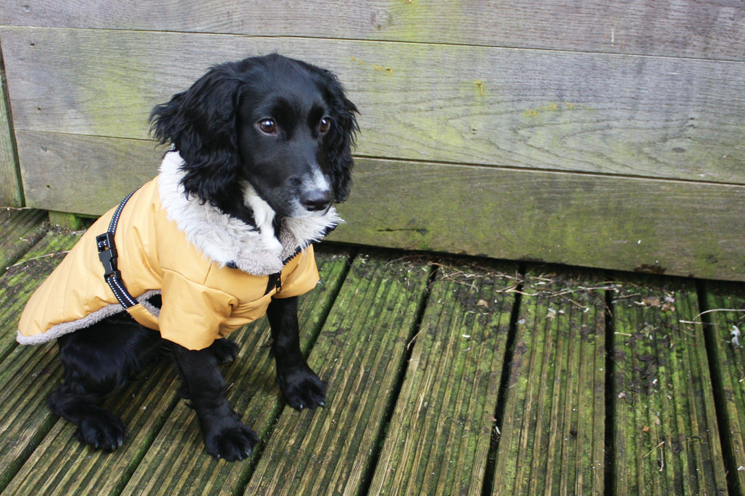 NEW LUXURY Happy Pet Sherpa Winter Coat Cranberry Dog Puppy Coat