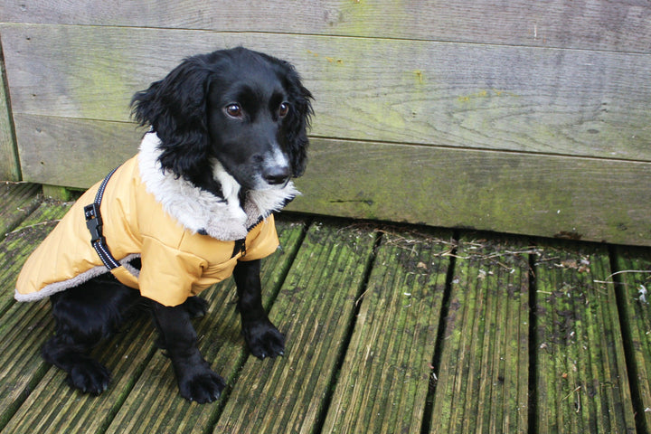 NEW LUXURY Happy Pet Sherpa Winter Coat Ochre Dog Puppy Coat