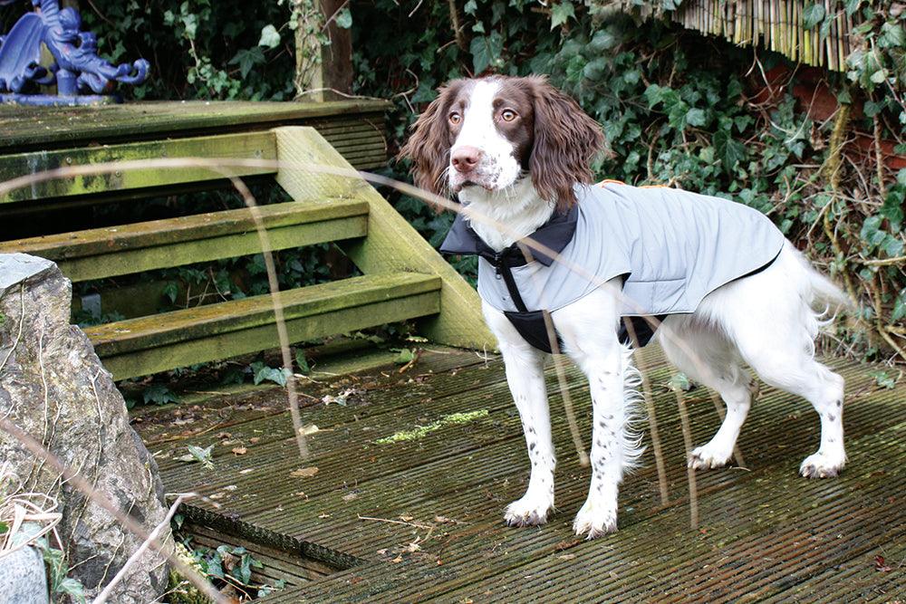 NEW LUXURY Happy Pet Reflective Coat Silver Grey Dog Puppy Coat