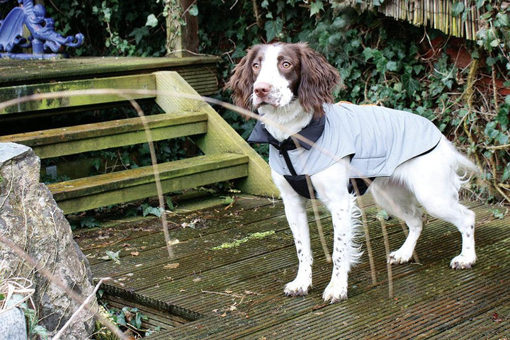 NEW LUXURY Happy Pet Reflective Coat Silver Grey Dog Puppy Coat
