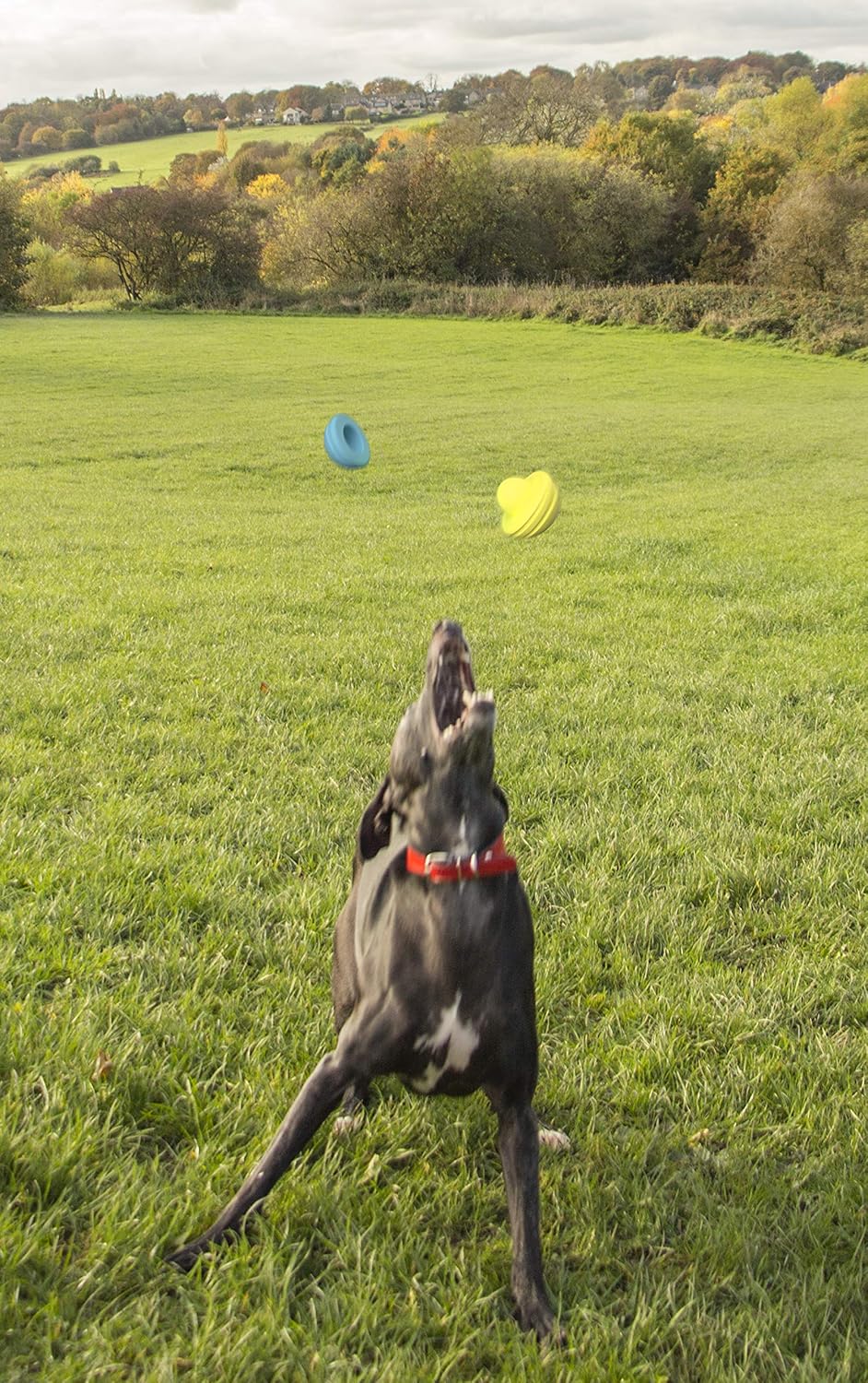 Foaber Split Tough Dog Toy