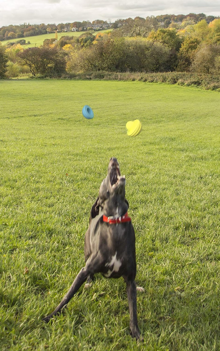 Foaber Split Tough Dog Toy