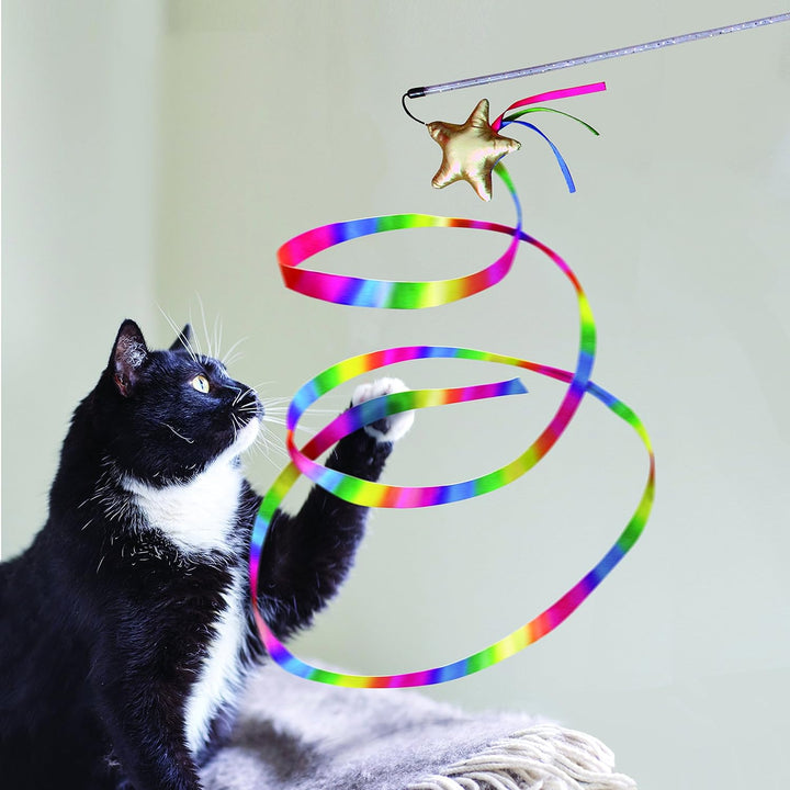 KONG Cat Stellar Teaser