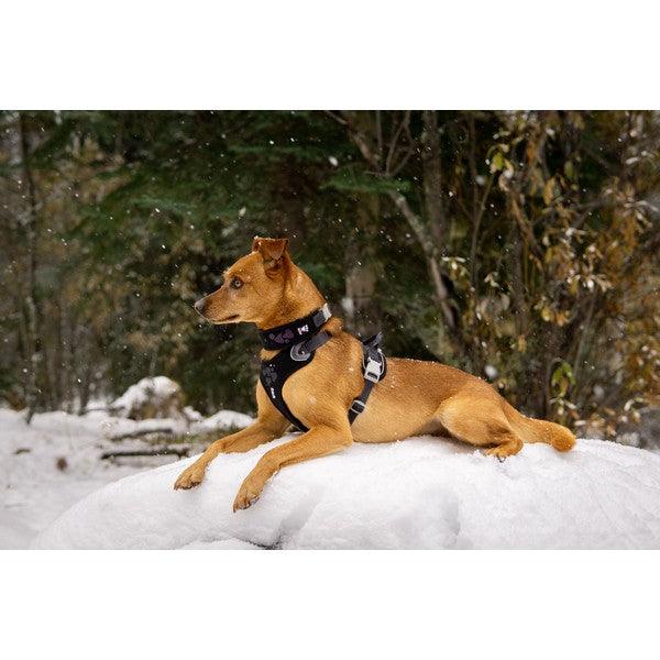 Hurtta Weekend Warrior Harness Raven