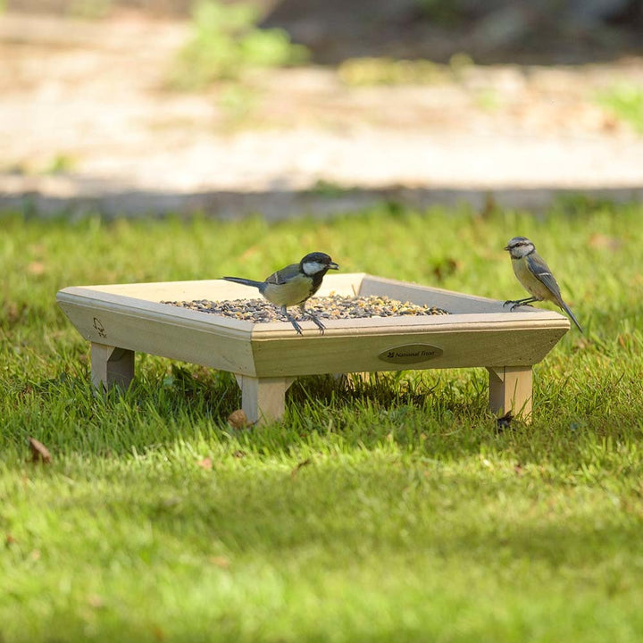 National Trust Wild Life On Ground Feeding Table