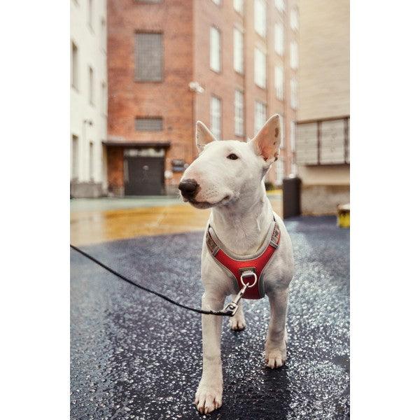 Hurtta Venture No-Pull Harness Bilberry - Ormskirk Pets