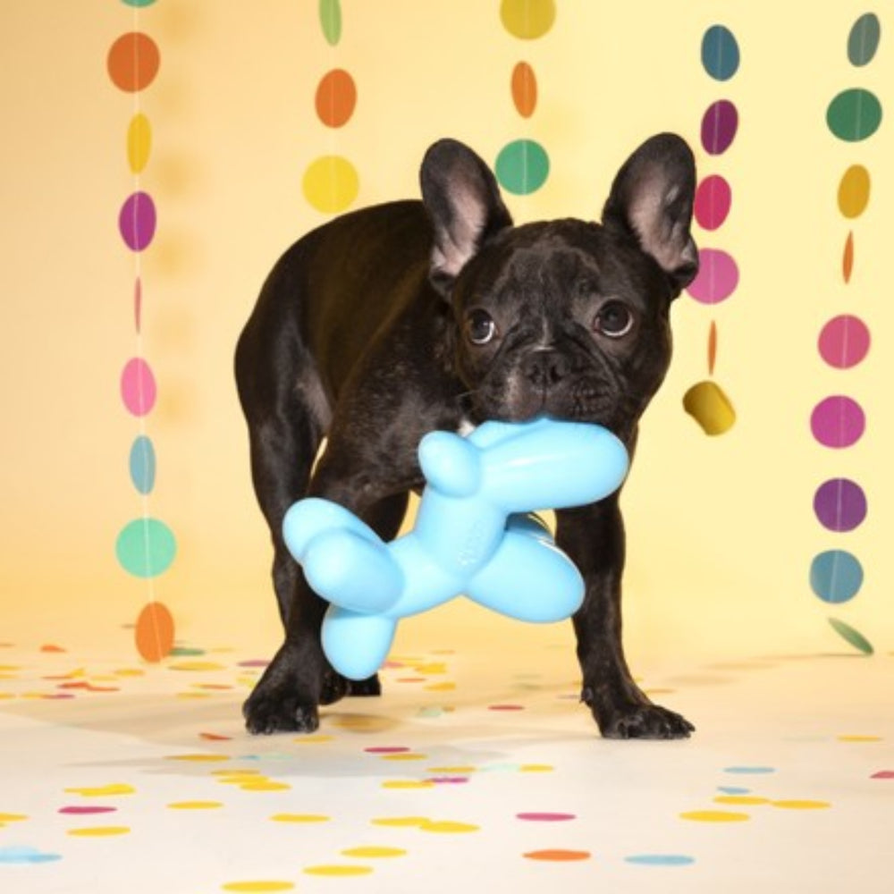Bark Bob the Balloon