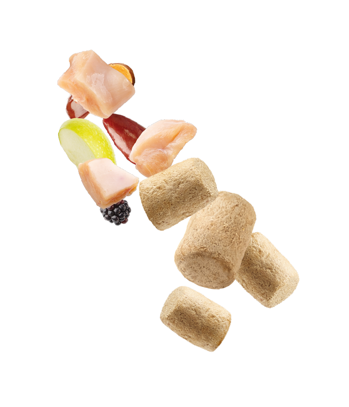 Natures Menu Freeze Dried Chicken Toppers 15g