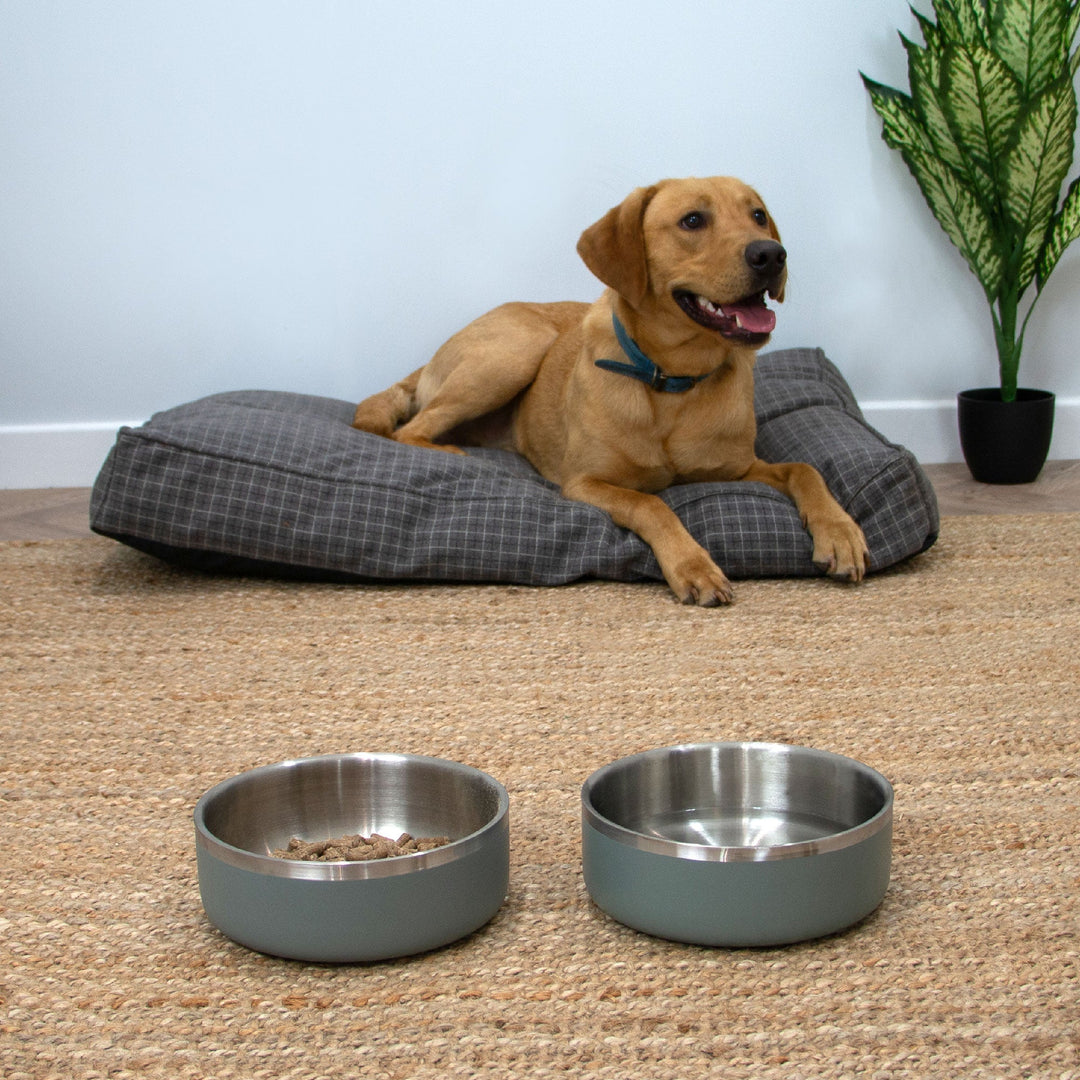 Ancol Sage Stainless Steel Bowl