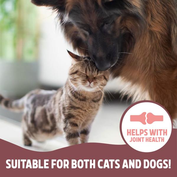 Rosewood Salmon Oil for Dogs & Cats 500ml