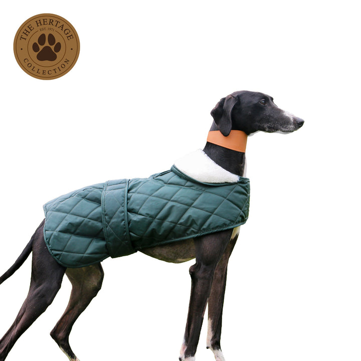 Ancol Whippet Quilted Hound Coat