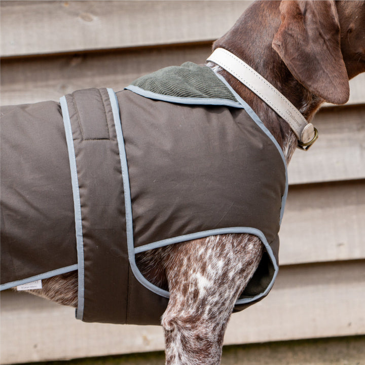 Ancol Heritage Wax Cotton Dog Coat Dog Coat