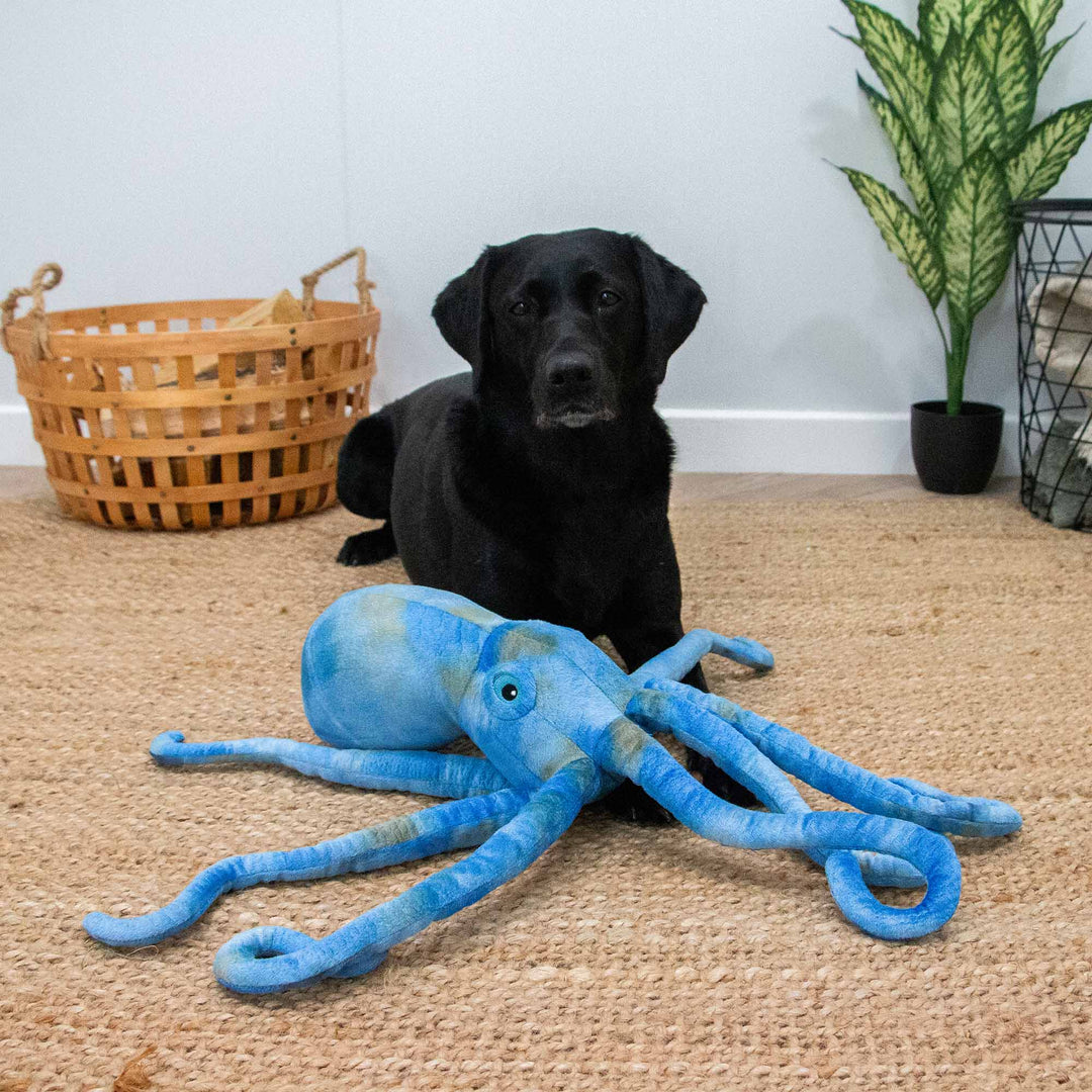Ancol Cuddle Phil the Kraken