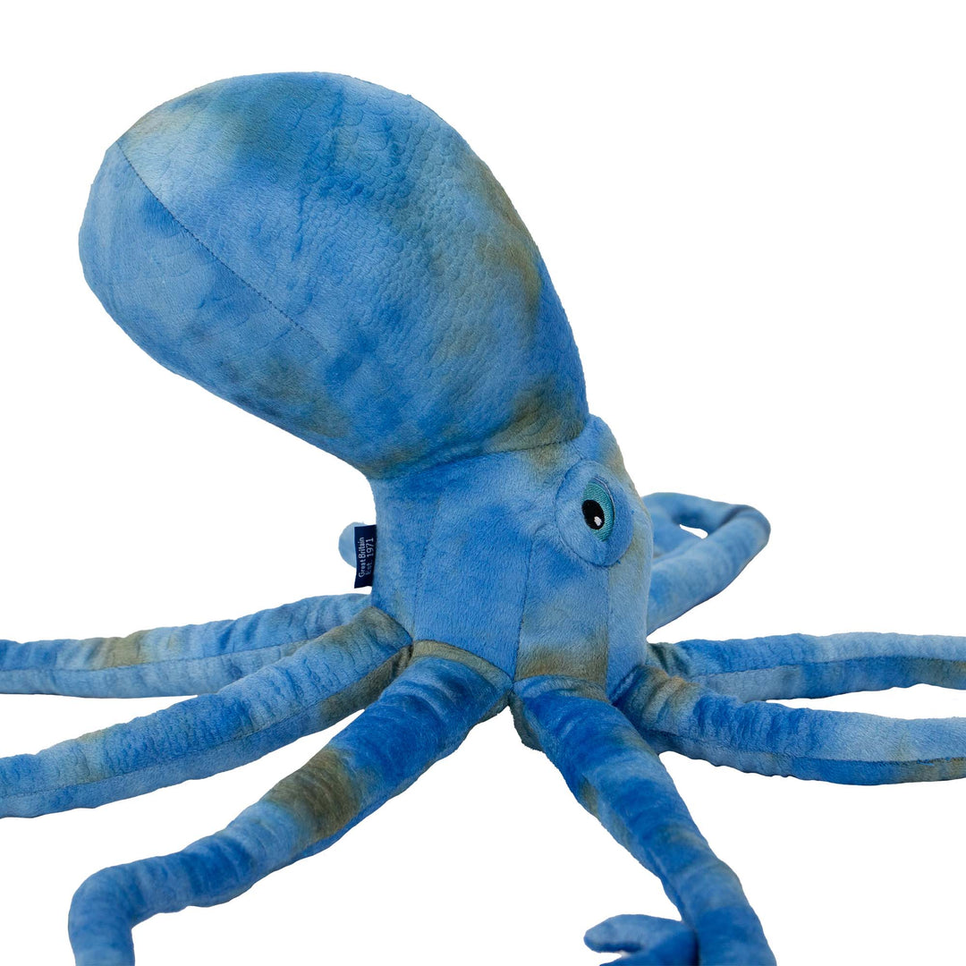 Ancol Cuddle Phil the Kraken