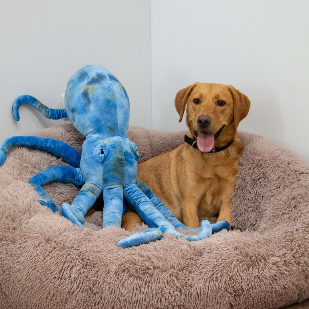 Ancol Cuddle Phil the Kraken Giant