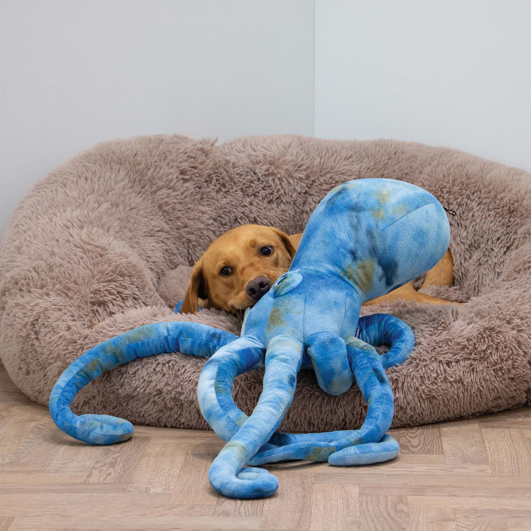 Ancol Cuddle Phil the Kraken Giant