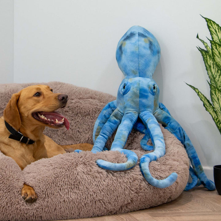 Ancol Cuddle Phil the Kraken Giant