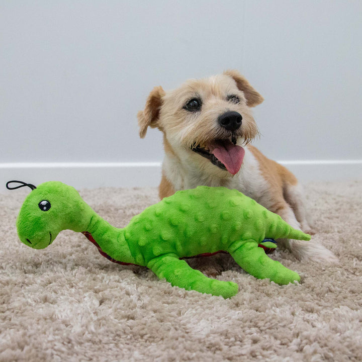 Ancol Cuddle Lottie Loch Ness Monster