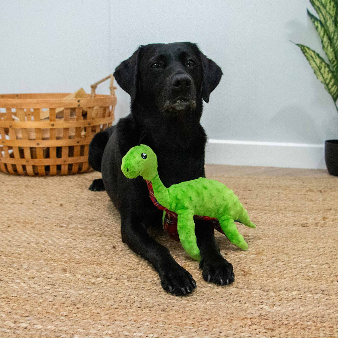 Ancol Cuddle Lottie Loch Ness Monster