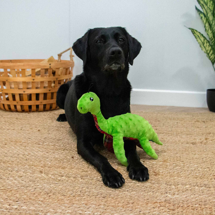 Ancol Cuddle Lottie Loch Ness Monster