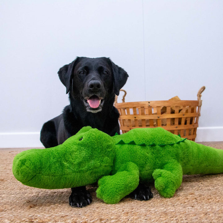 Ancol Cuddle Giant Croc