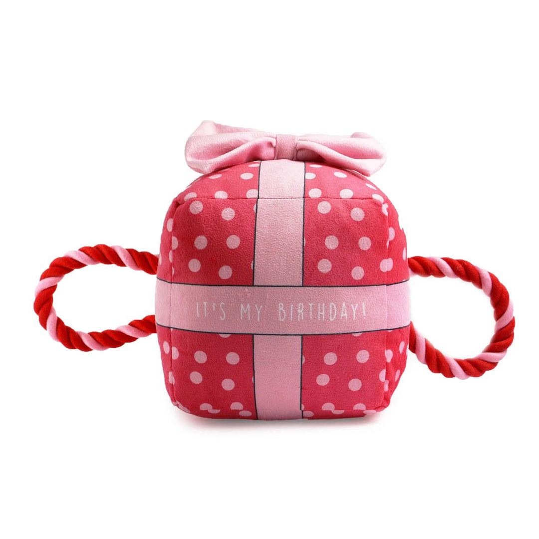 Ancol Pawty Time Birthday Present Pink 45cm